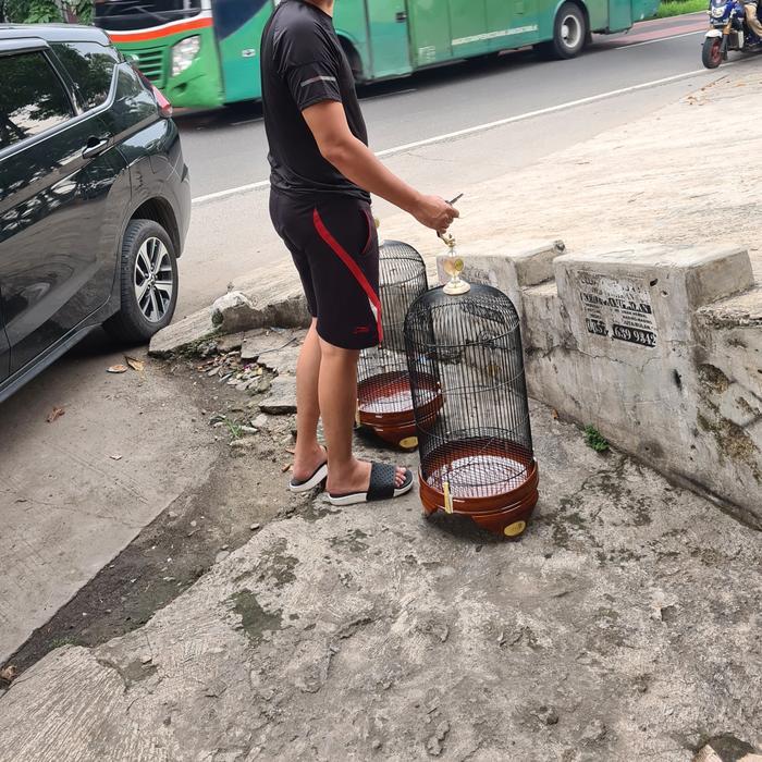 Sangkar lovebird BnR reborn pvc