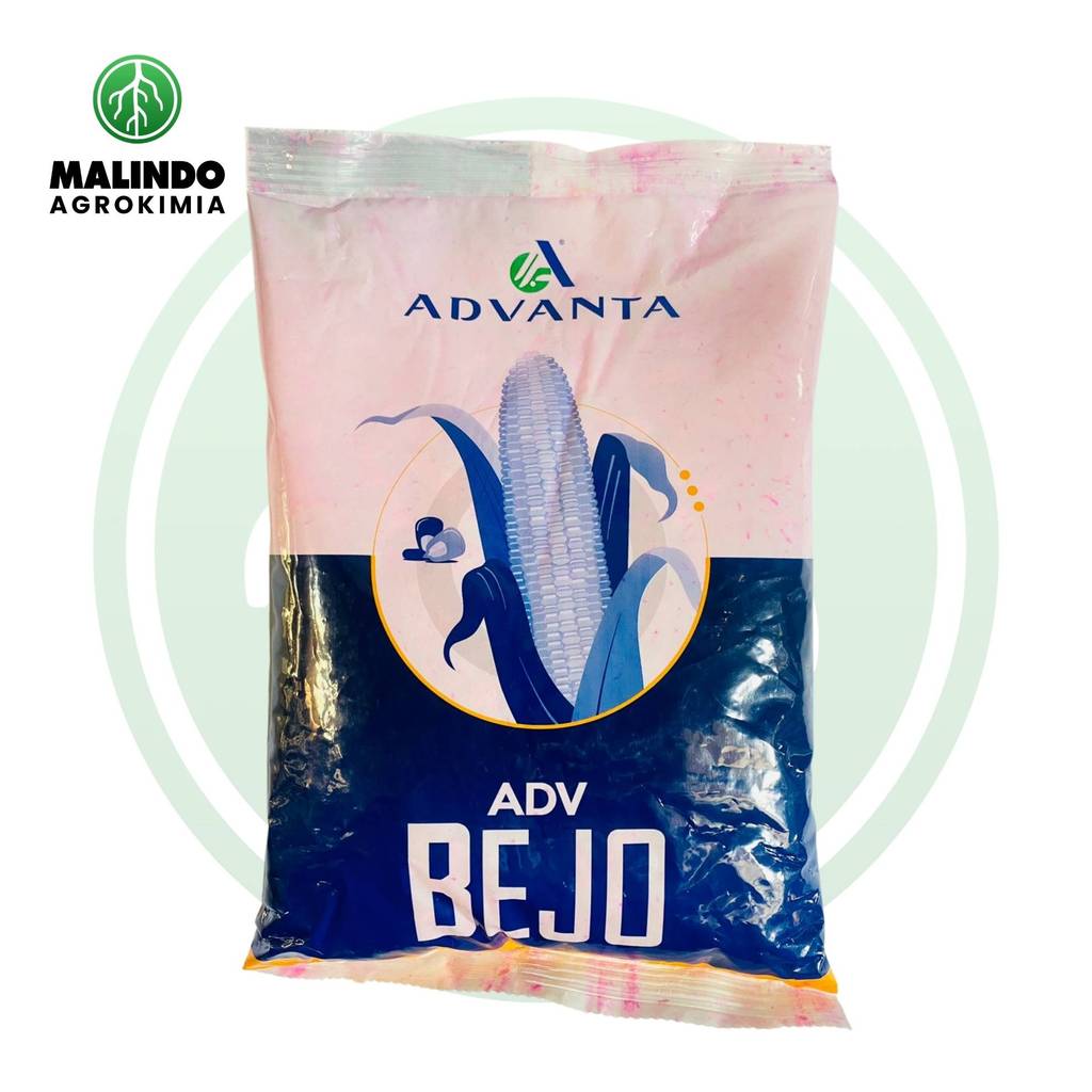 Benih Jagung ADV BEJO 1kg dari ADVANTA
