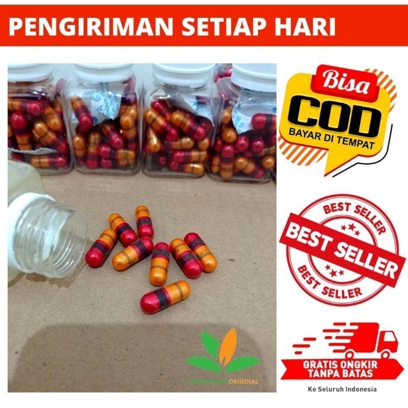 KJP / KAPSUL PELANGSING BADAN PREMIUM KUALITAS NO 1  PELUNTUR LEMAK DOUBLE STRONG RING 2