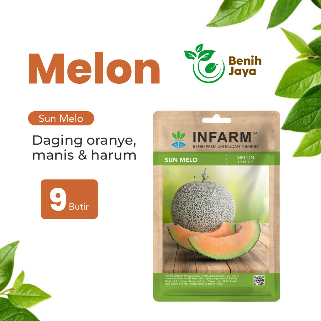 BENIH JAYA - Benih Buah Melon Sunmelo Bibit Buah Melon Unggul Bibit Melon Hibrida Berkualitas