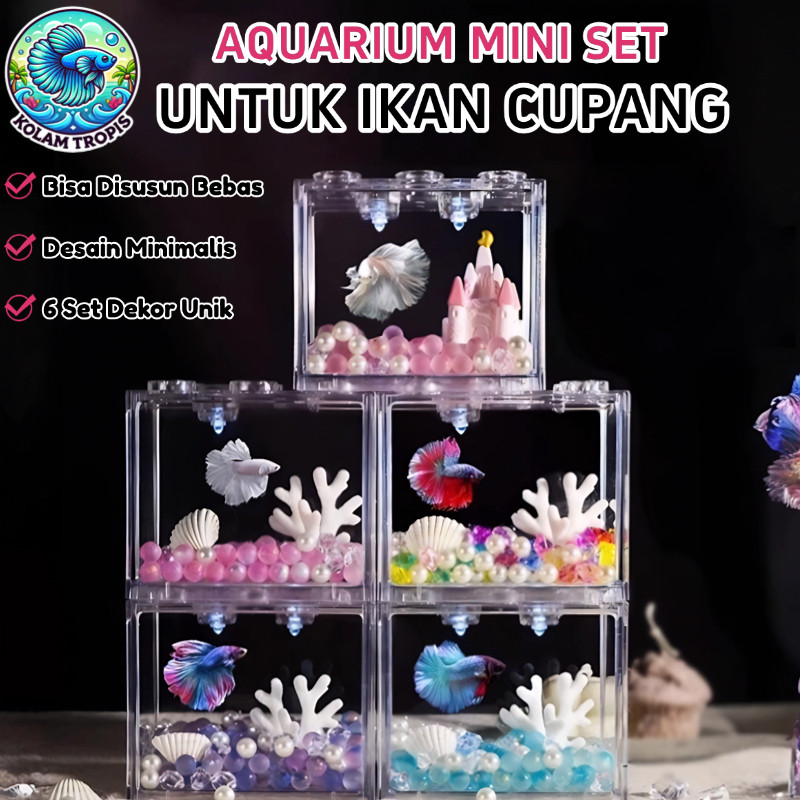 Aquarium Set Lengkap Ikan Cupang Aquarium Cupang Estetik Aquarium Akrilik Aquascape Mini Siap Pakai