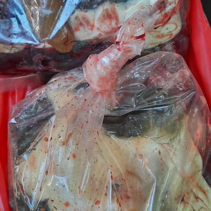 daging labi labi bulus segar1kg