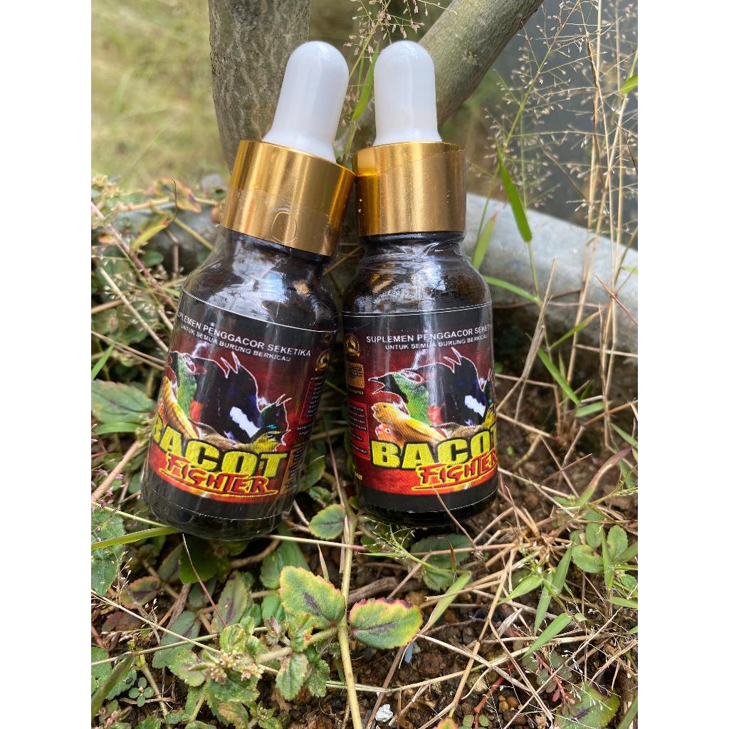Bacot Fighter Solusi Burung Takut & Kurang Bacot