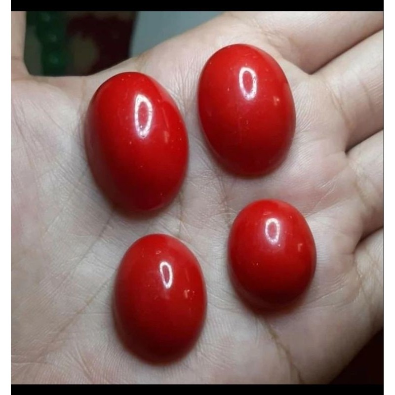 Batu Marjan merah rindu akik