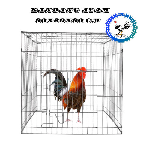 TERLARIS Kandang Galvanis / kurungan ayam galvanis KOTAK 80x80x80 CM