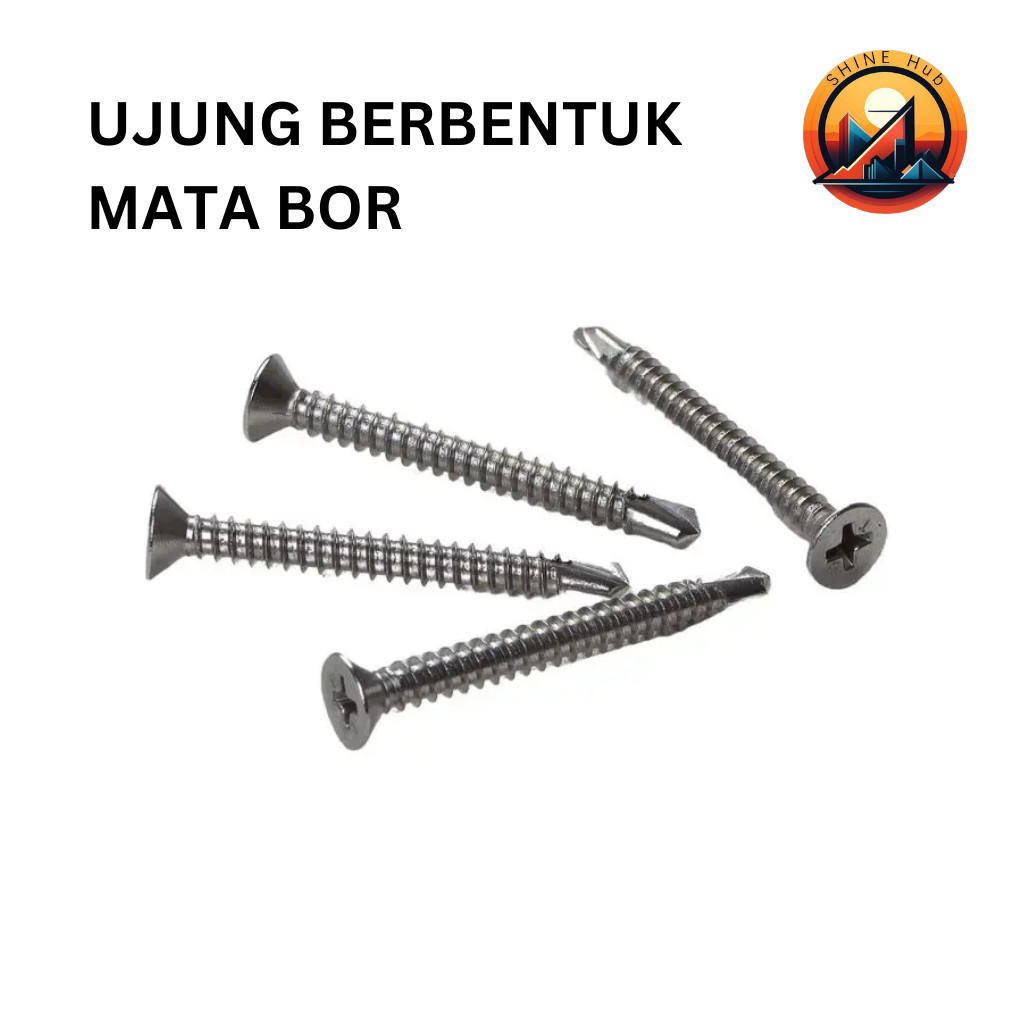 Sekrup Roofing Truss Head (10 PCS)