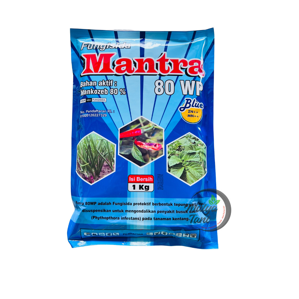 Fungisida Mantra 80WP 1 Kg Mankozeb Pencegahan Antraknosaa