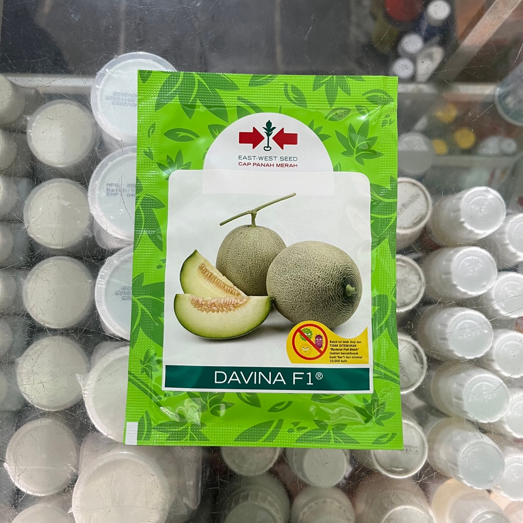 BENIH MELON DAVINA F1 500 BUTIR CAP PANAH MERAH