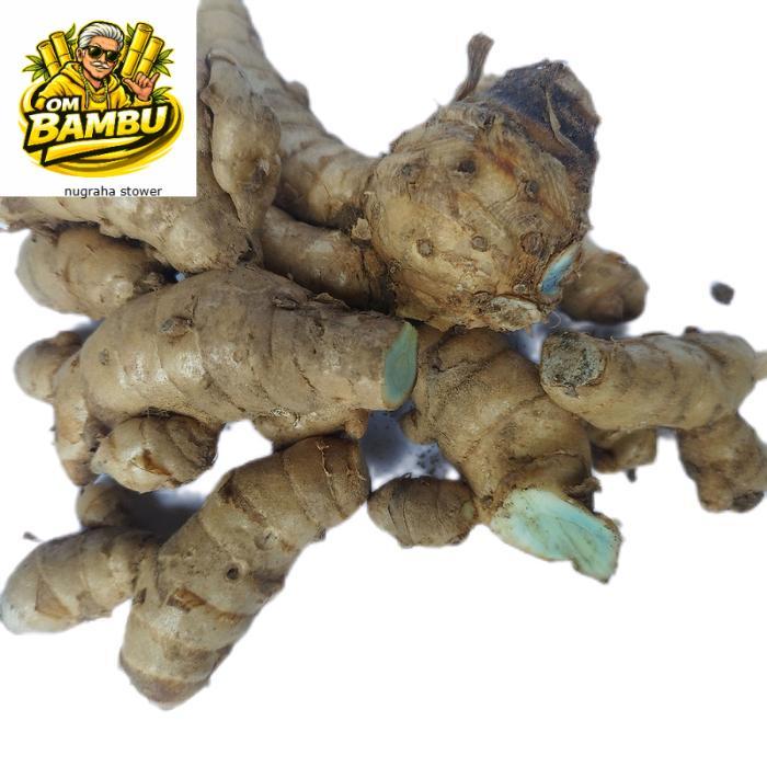 Temu hitam/Temu ireng segar temu hitam atau temu ireng segar 1 kg AM