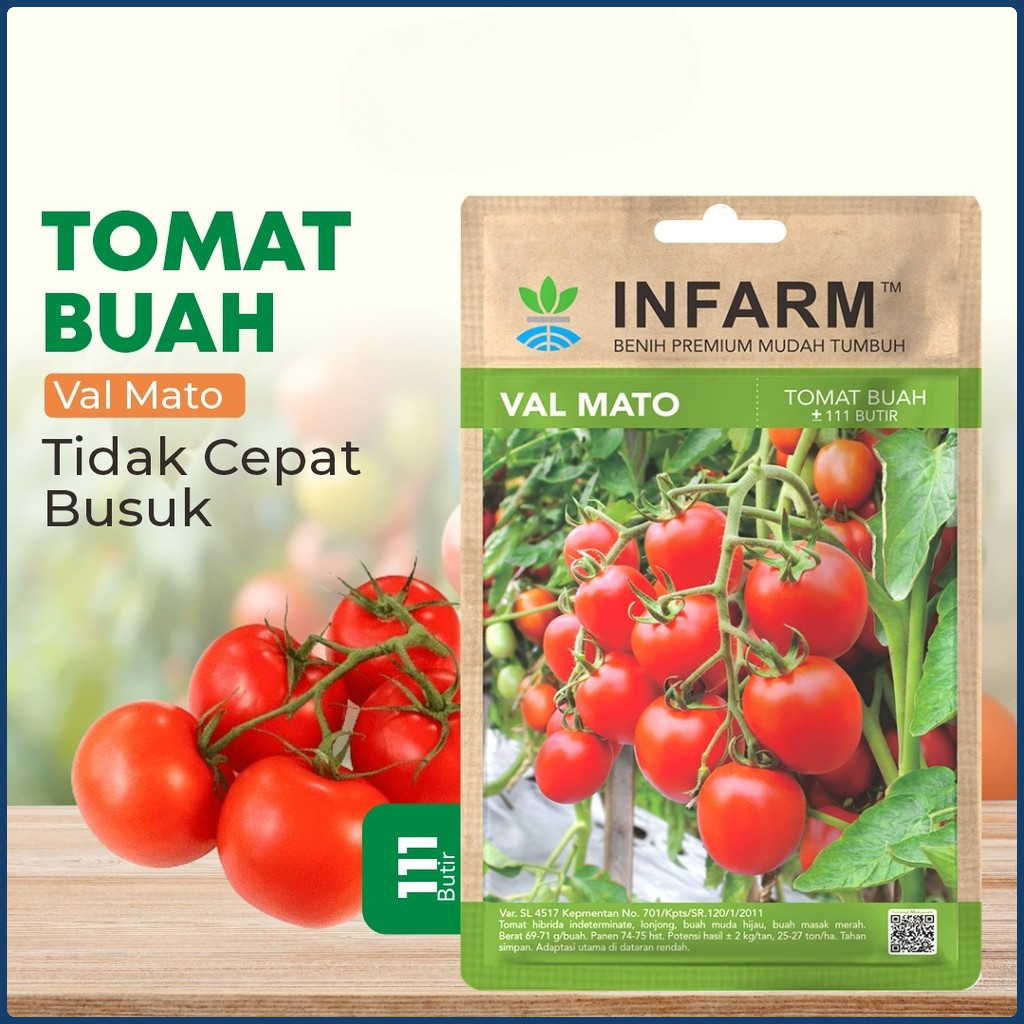 Benih Buah Tomat Valmato  Bibit Biji Tomat Buah Valmato Tomat Buah Manis Premium  - Agrofarm_Supply