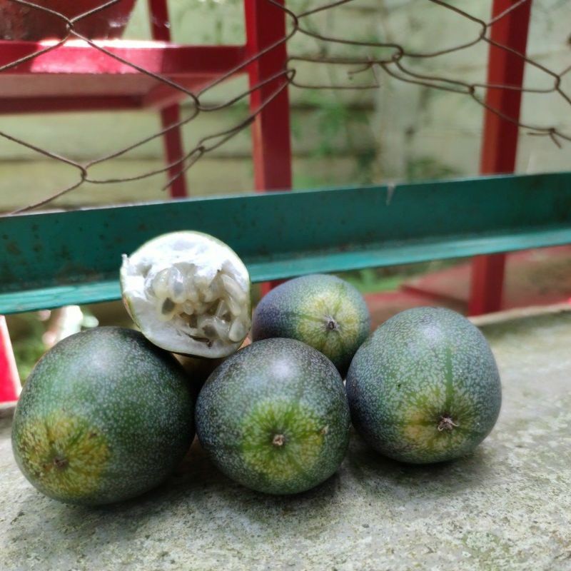 Buah Markisa Segar Buah Konyal Manis