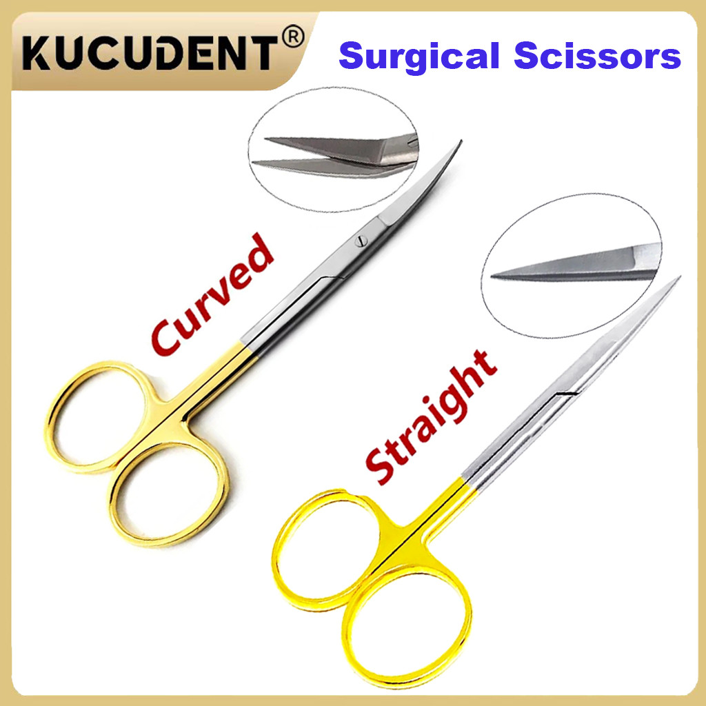 1 buah gunting bedah gigi dari baja tahan karat dengan ujung lurus melengkung dan pegangan berlapis 
