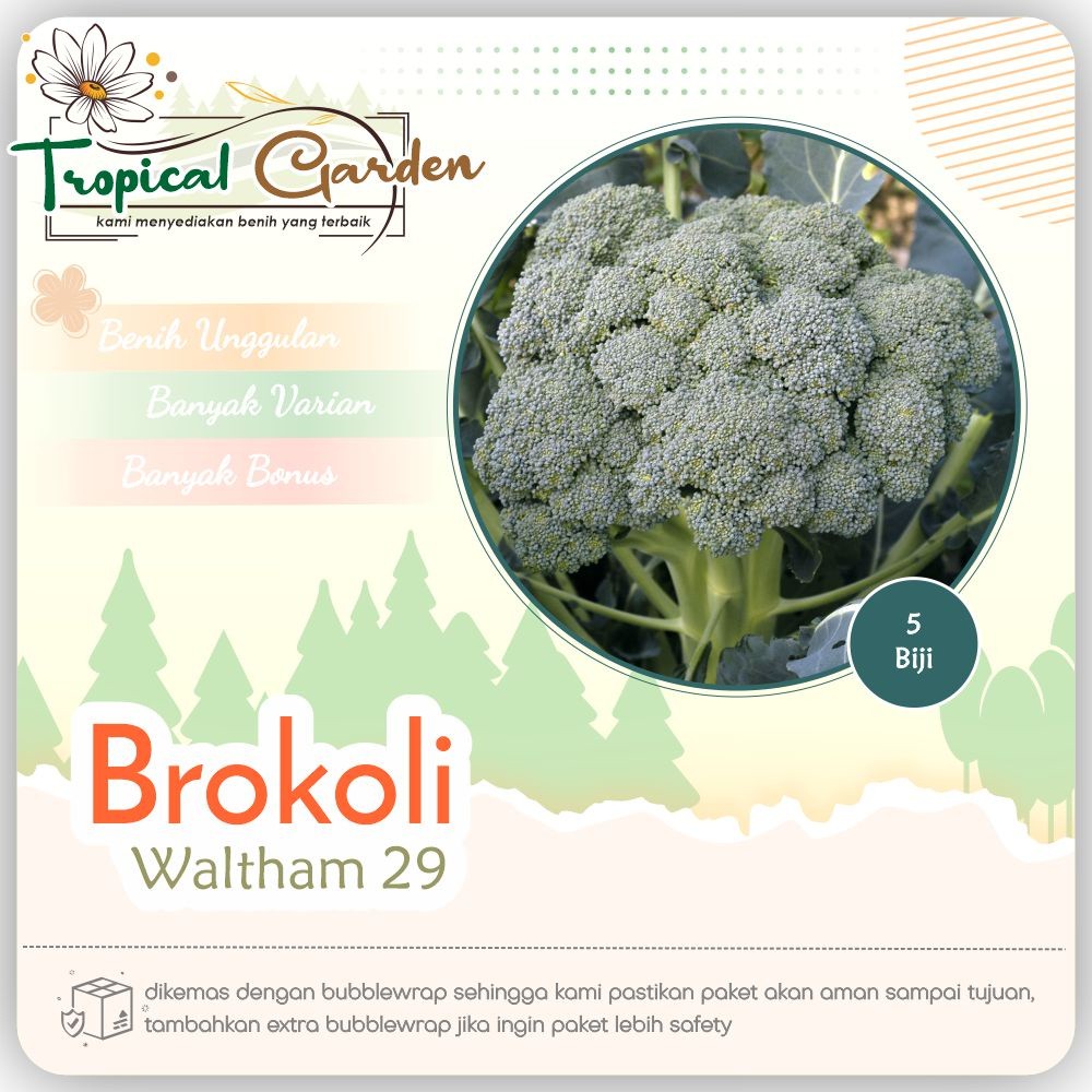 jawadijawijawi Benih Brokoli Waltham Bibit Brokoli Import COD