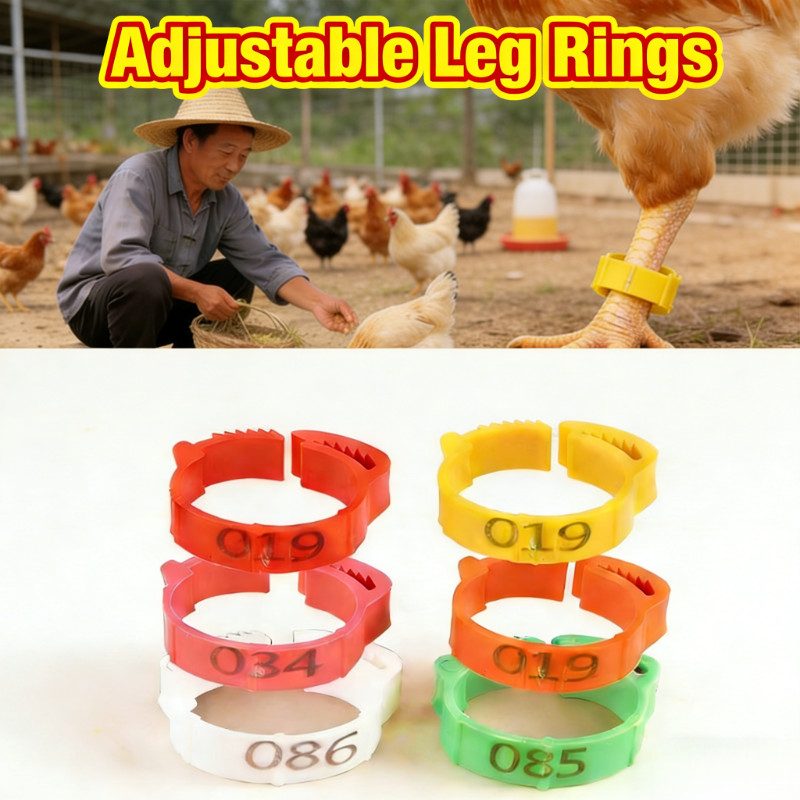 Cincin Kaki Ring Penanda Unggas Plastik Berkualitas Set 100pcs Warna Custom dan Bernomor untuk Ayam 