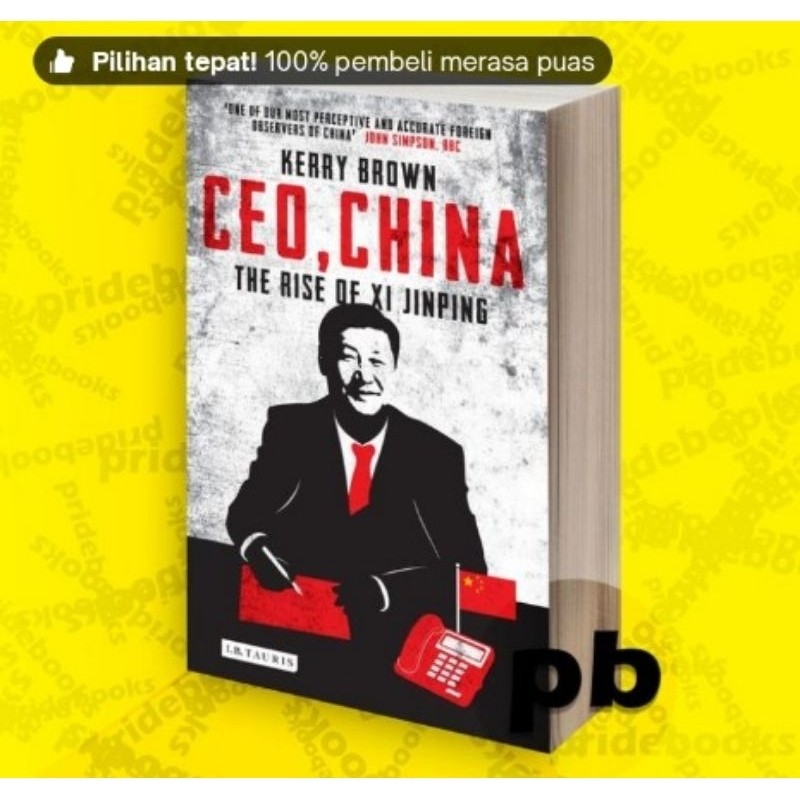 Buku CEO China The Rise of Xi Jinping