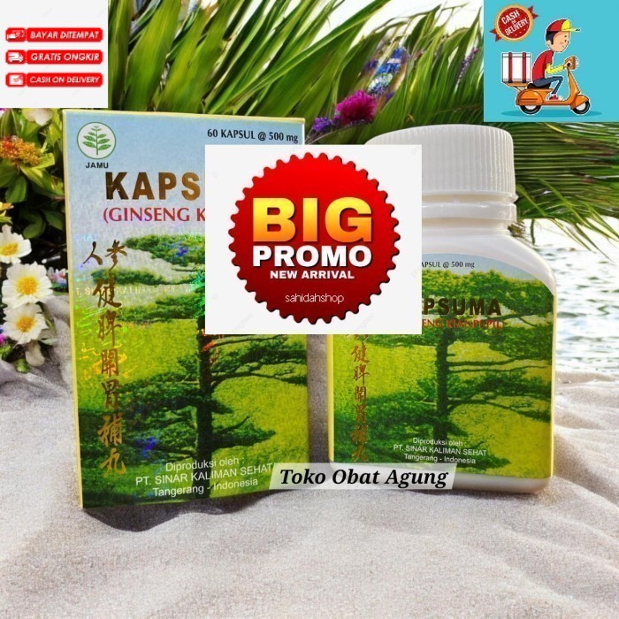 APOTIK WDR FARMA Recomen kian pi~ obat herbal Original 100% Kianpi Pil untuk penggemuk badan. sudah 