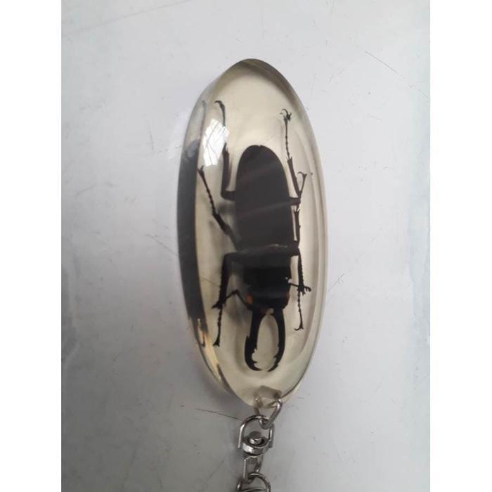 GANTUNGAN KUNCI RESIN SERANGGA JEPANG ASLI  KUWAGATA MUSHI