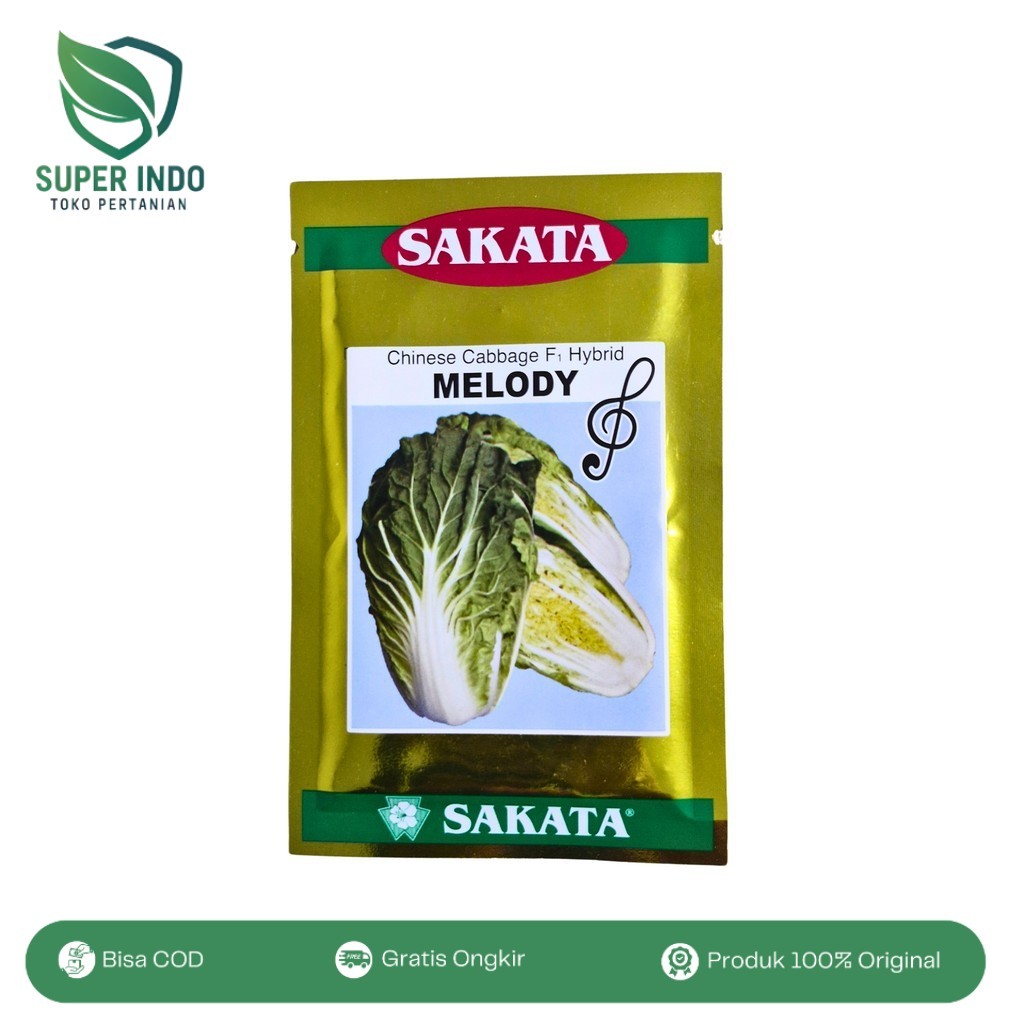 Bibit Sawi Putih Melody F1 Sakata 10gr Panen Cepat dan Produktif