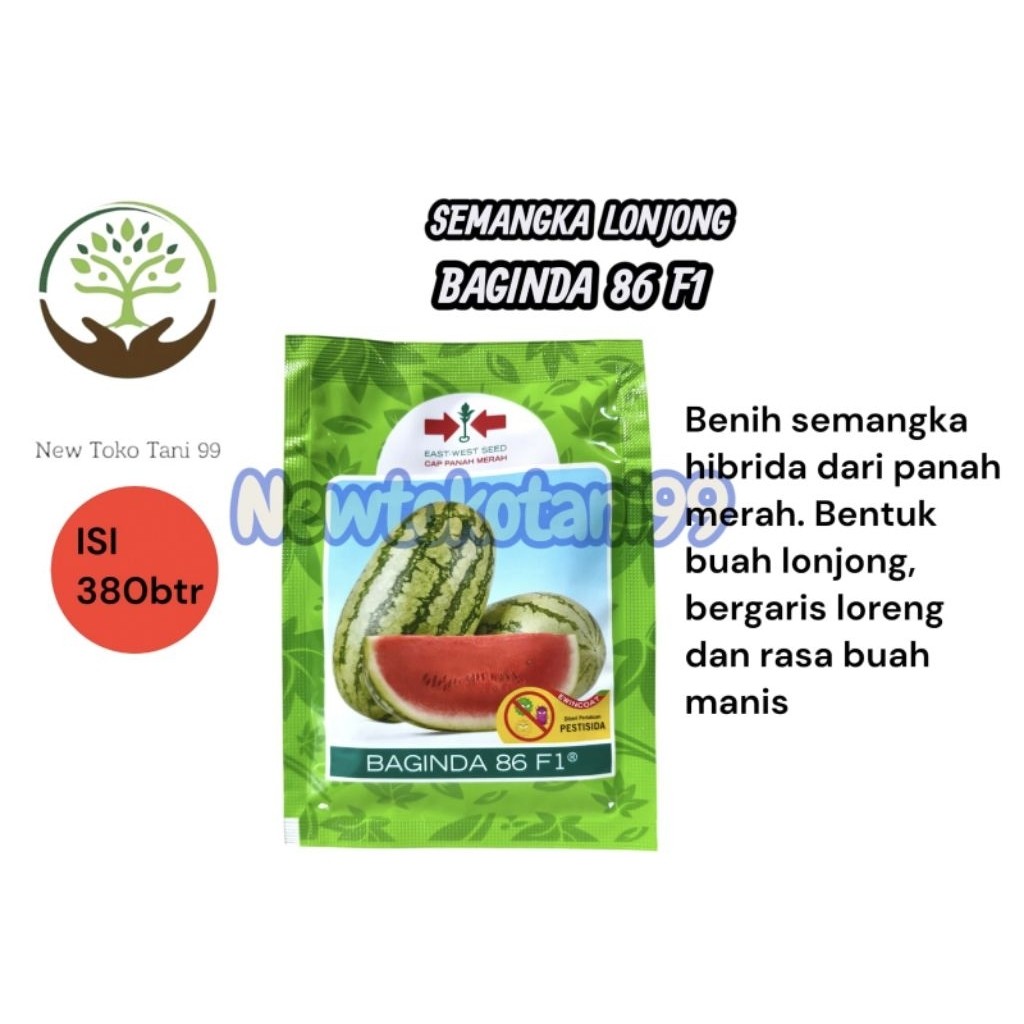 Benih semangka BAGINDA86 F1 380butir baginda 86 f1 dari panah merah semangka loreng hibrida ews