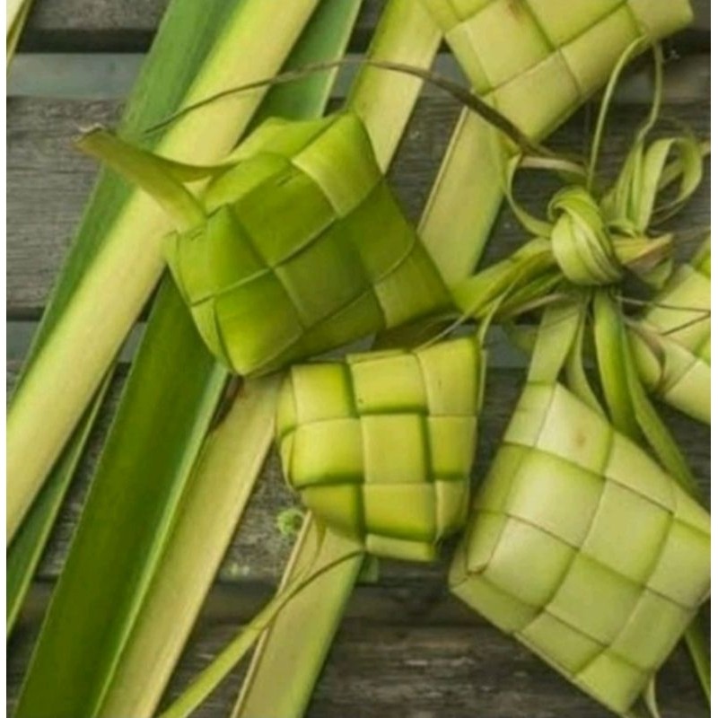 kulit ketupat cangkang ketupat kosong daun kelapa