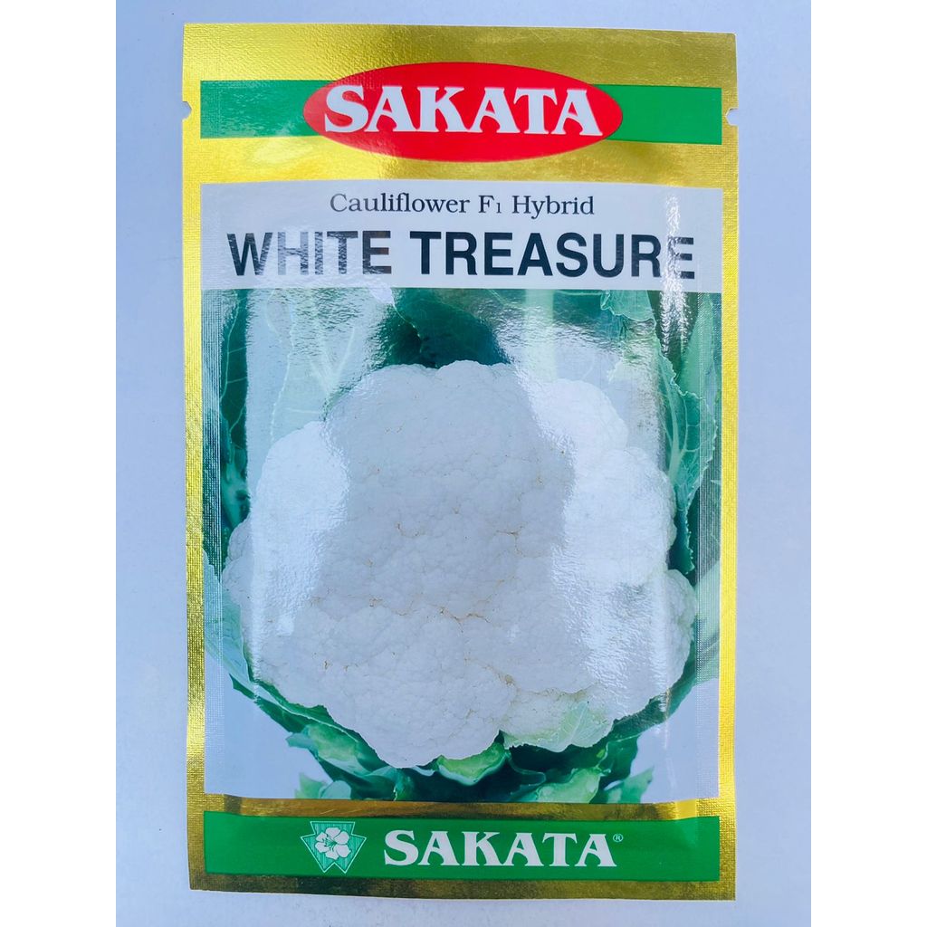 Benih Bunga Kol F1 WHITE TREASURE berat 10 gram SAKATA