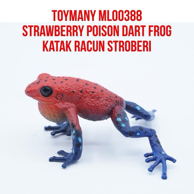 ToyMany ML00388 | Strawbery Poison Dart Frog Katak Panah Beracun Stroberi Oophaga Pumilio | Mainan F