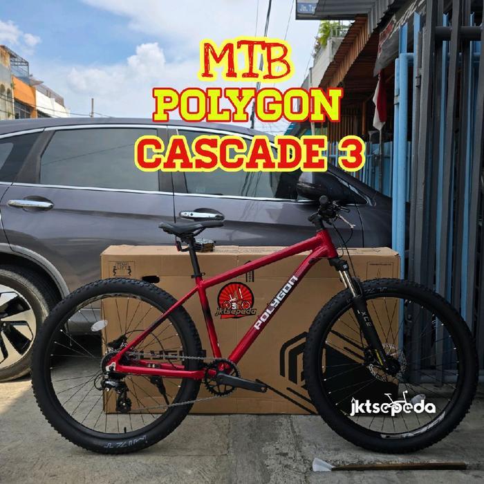 Sepeda MTB Polygon CASCADE 3 - M