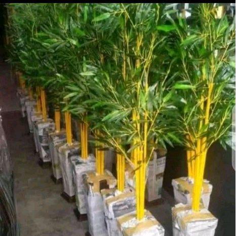Ceo Artificial Dekorasi Tanaman Hias Bambu Kuning Siap Tanam Bambu Kuning