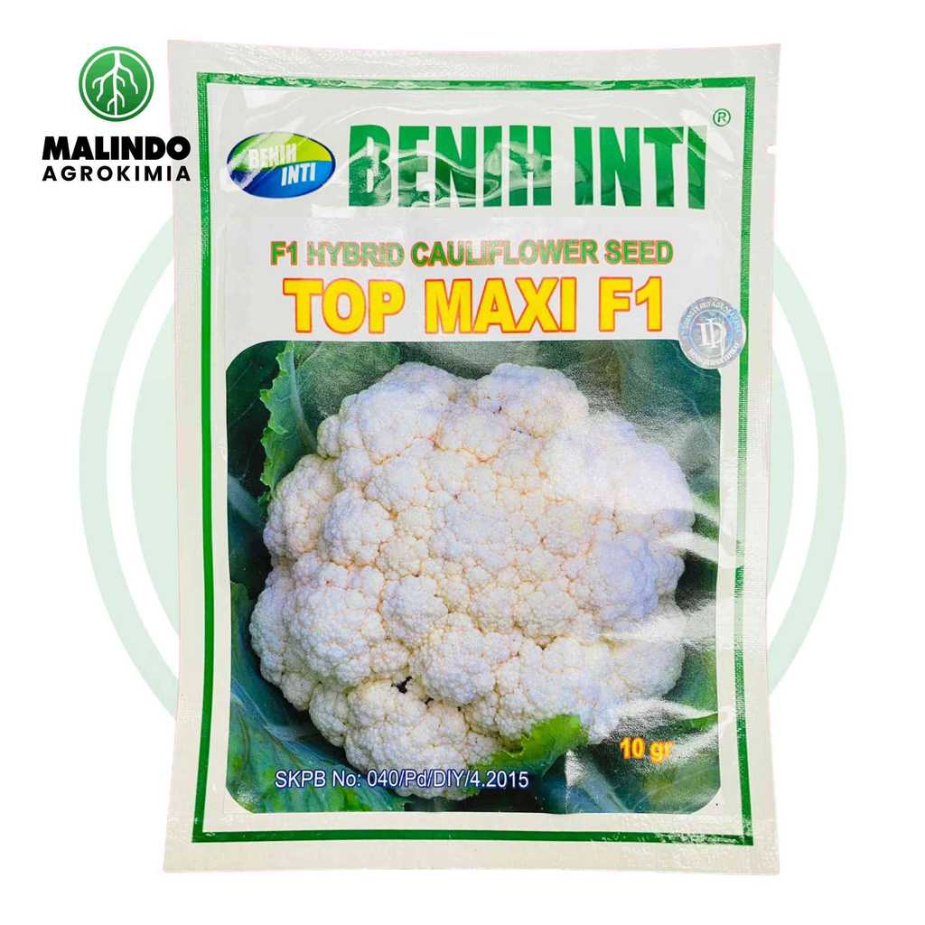 Benih Cauliflower F1 TOP MAXI 10gram dari PT DINASTY INTI AGRO SARANA