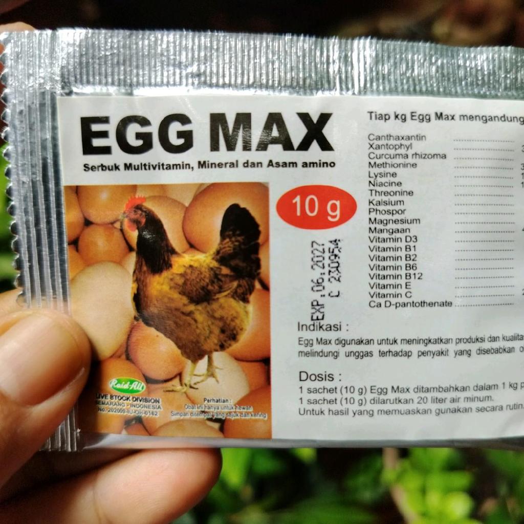 Egg Max Bebek Pemacu Bebek Bertelur