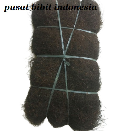 1 kilo Ijuk aren resapan /ijuk aren filter air/ijuk aren//ijuk septictank/ijuk kakaban