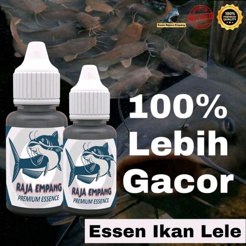 Essen ikan lele raja empang     essen ikan lele khusu induk galatama essen galatama lele paling BIG 