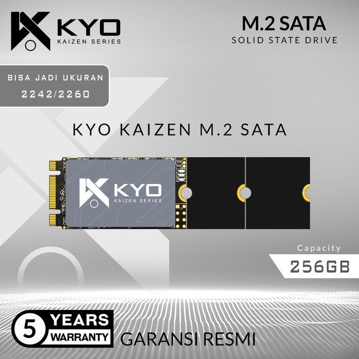 DISKSPACE SSD M2 SATA 256GB 2242 M.2 SATA / M2SATA KYO KAIZEN (GARANSI 5 TAHUN) - SSD ONLY