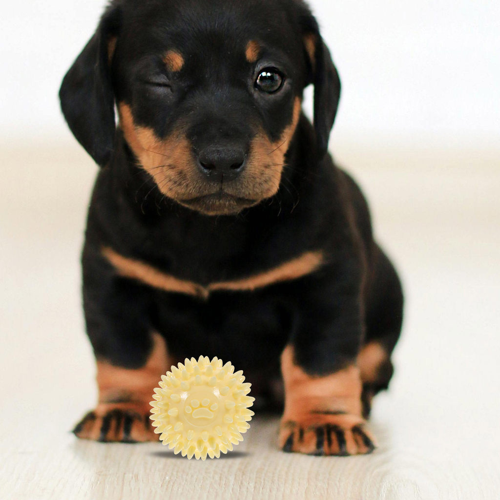 Dog Ball Molar Interactive Thorned Training Ball ewing Playing Throwing Outdoor Dog Puppy Training P