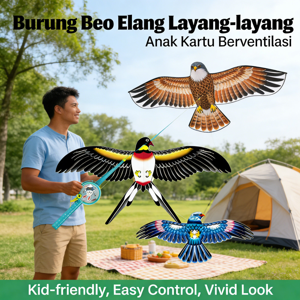 Anak Layang-layang Elang Burung Berventilasi Layang-layang