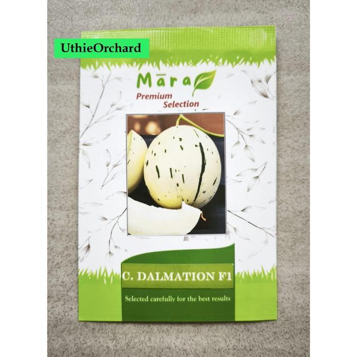 Mara Premium Selection - Benih Melon C. Dalmation F1 7 Seeds - 7 s