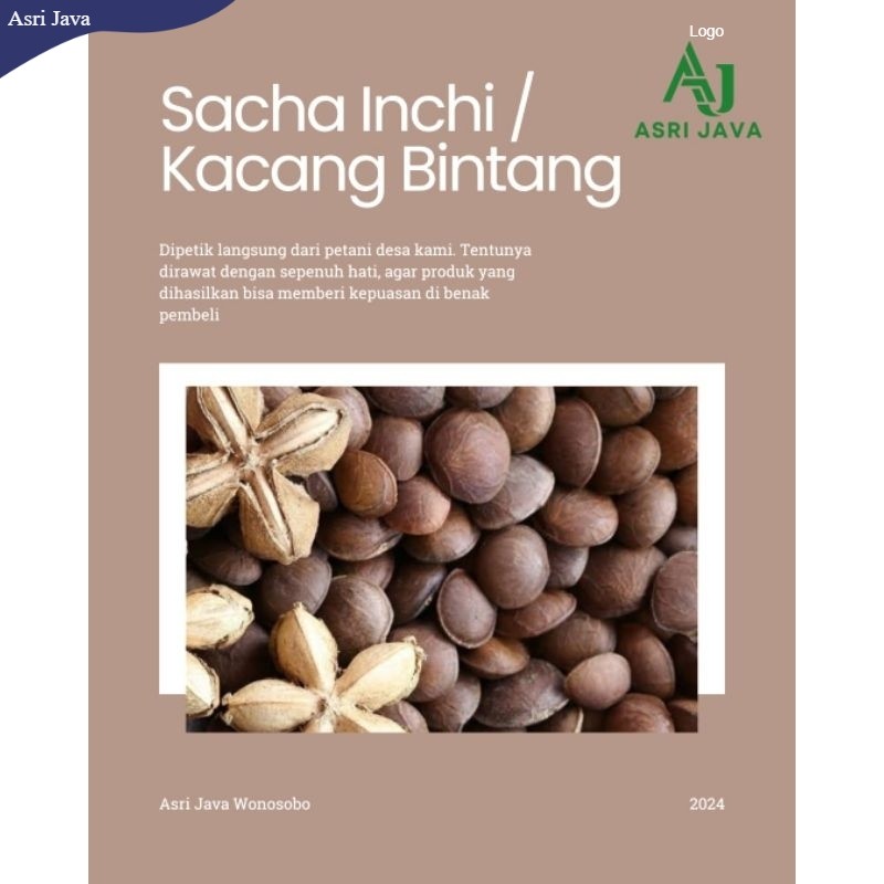 Kacang Sacha Inchi Kering 1kg 1/2kg Organik Alami AJ01
