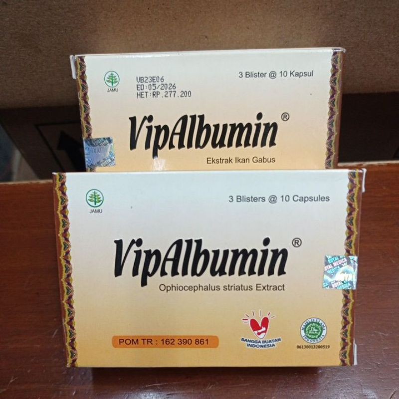 vipalbumin kapsul ekstrak ikan gabus channa striata 1 box 30 kapsul