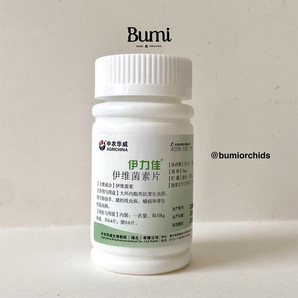 Obat Ivermectin Taiwan Isi 100 Tablet 5 mg Kutu Parasit Cacing Hewan Anjing Kucing Kuda