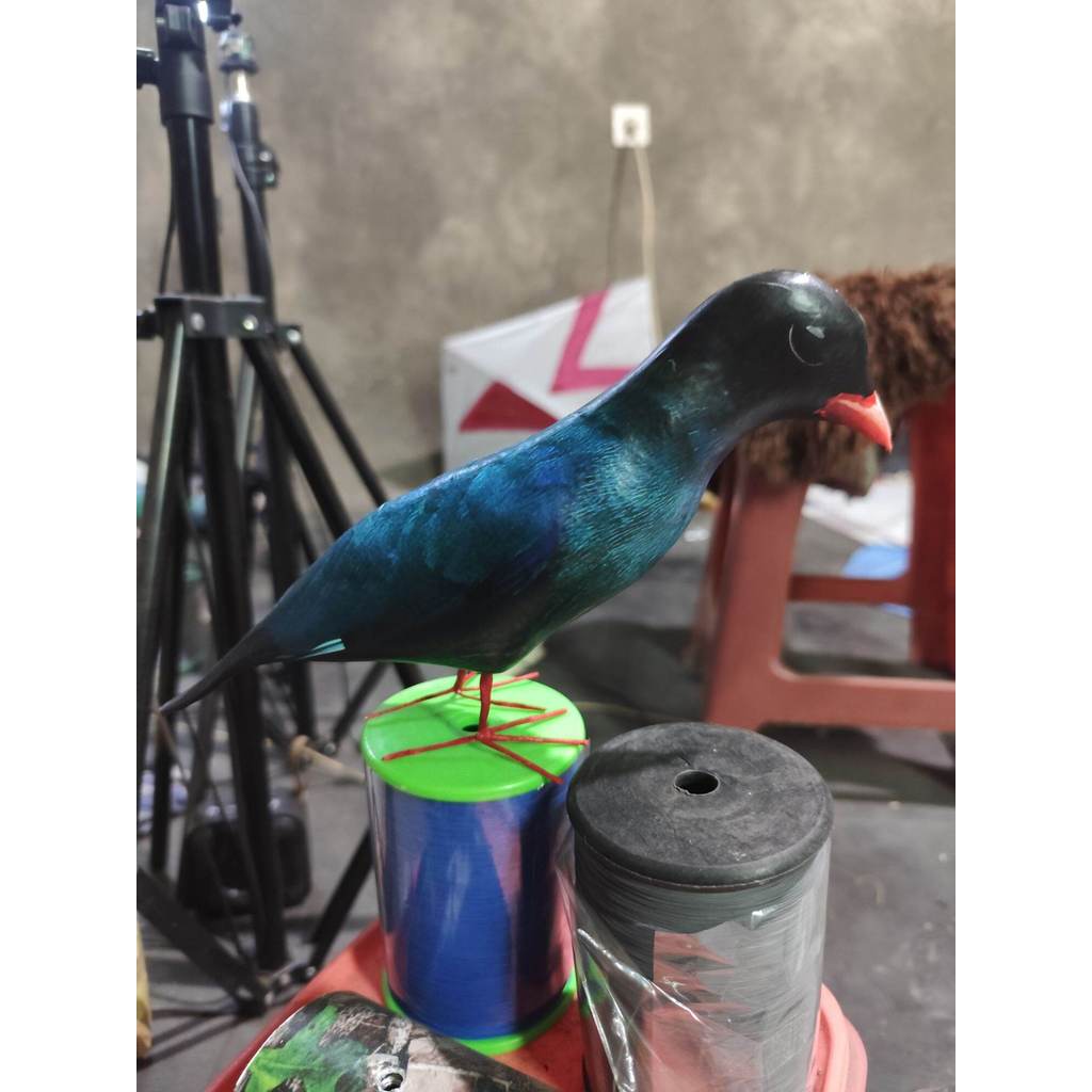 jontrot patung burung tengkek buto / dekoy boneka manuk gesek murai alat pikat
Bahan spon tebal sang