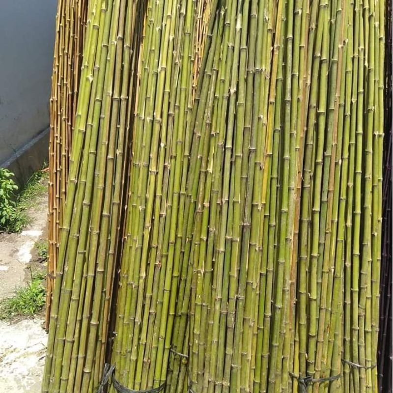 baru - bambu mentahan lurus