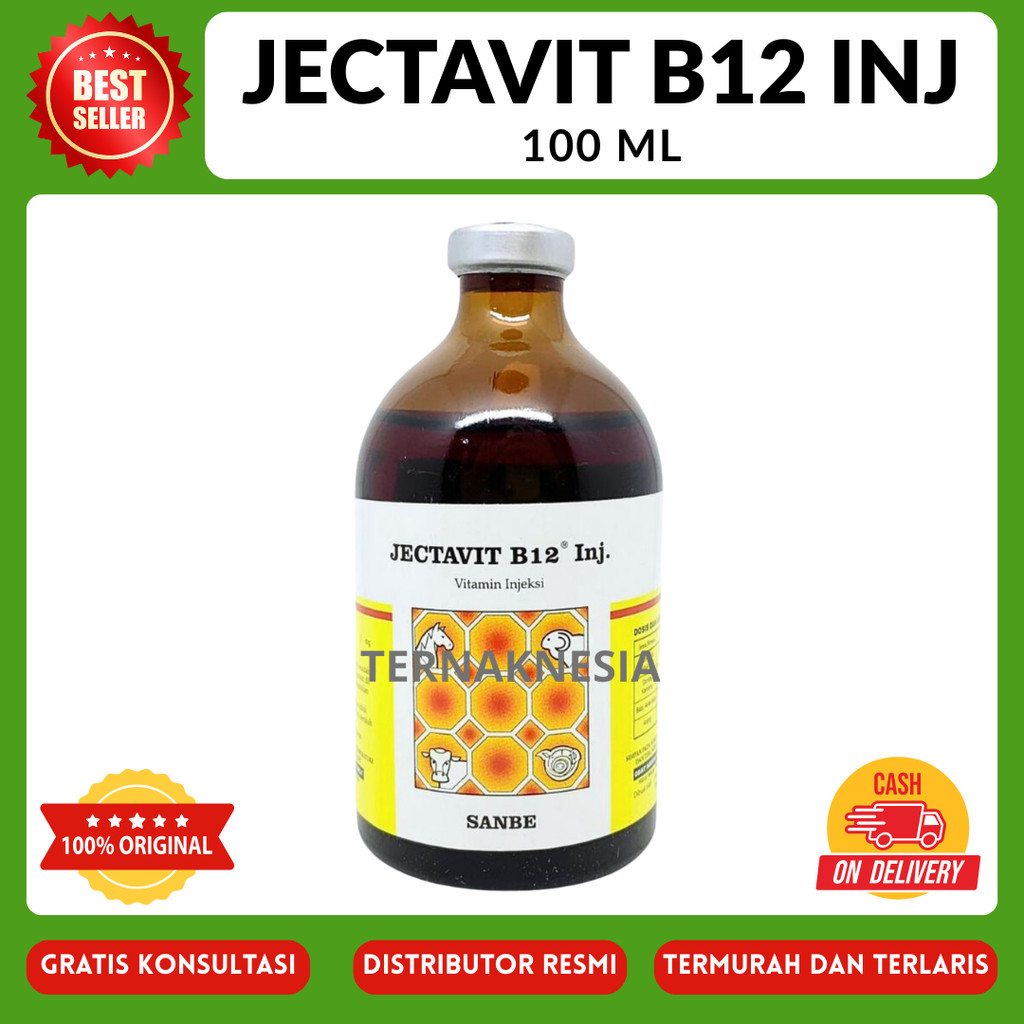 JECTAVIT B12 100 ml - Vitamin B12 Sapi Domba Kambing Kuda Babi Kucing TN