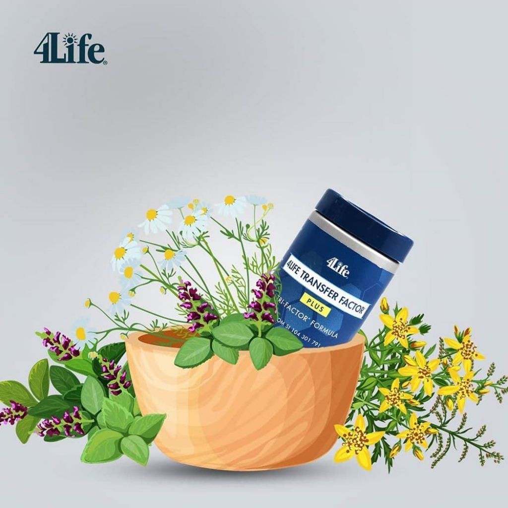 4Life Transfer Factor Plus-Suplemen Kesehatan-Imunitas