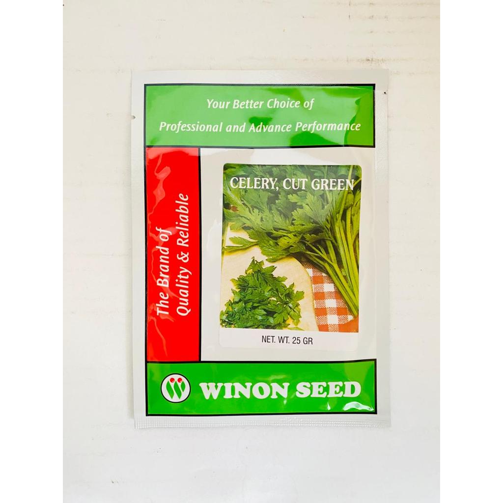 Benih seledri CELERY CUT GREEN isi 25gr batang tangkai kokoh dari WINON SEED