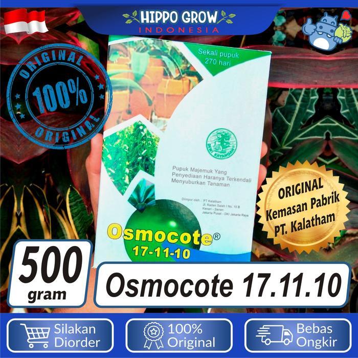 Pupuk Osmocote 17-11-10 Kemasan Besar 500gr Dekastar Daun
