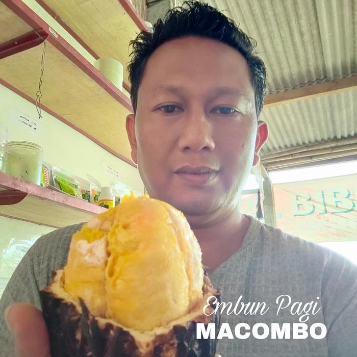 Bibit Buah Macombo Perpaduan Rasa Durian Langka
