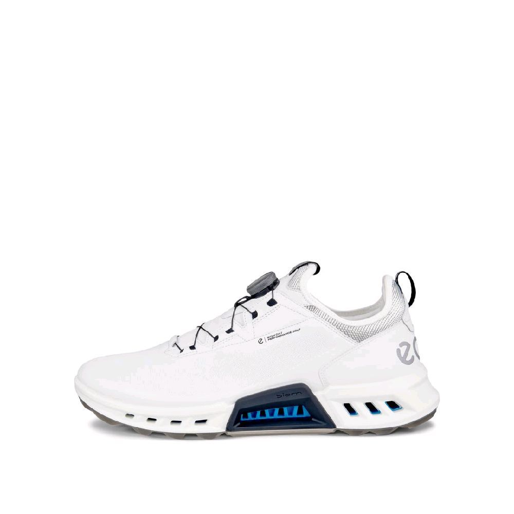 Sepatu Golf Pria ECCO C4 Gore-Tex (ECG13042451227WB)