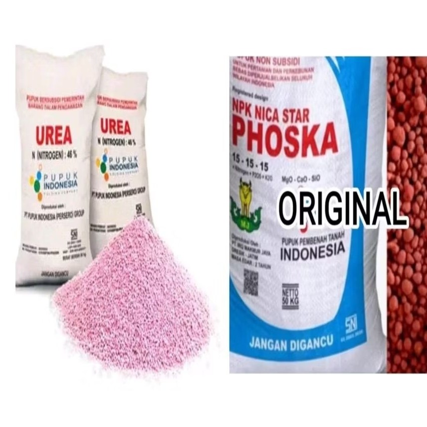 (50 KG) PUPUK NPK PHOSKA dan PUPUK UREA PAKET HEMAT ORIGINAL PUPUK TANI (50kg satu Karung)