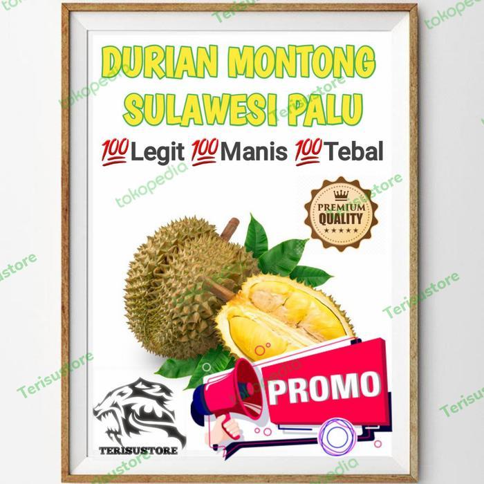 DURIAN MONTONG SULAWESI PALU - PARIGI - MONTONG PALU