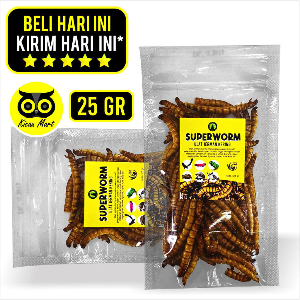 KICAU MART Superworm Super Worm Ulat Jerman Kering Pakan Makanan Cemilan Snack Extra Fooding EF Buru